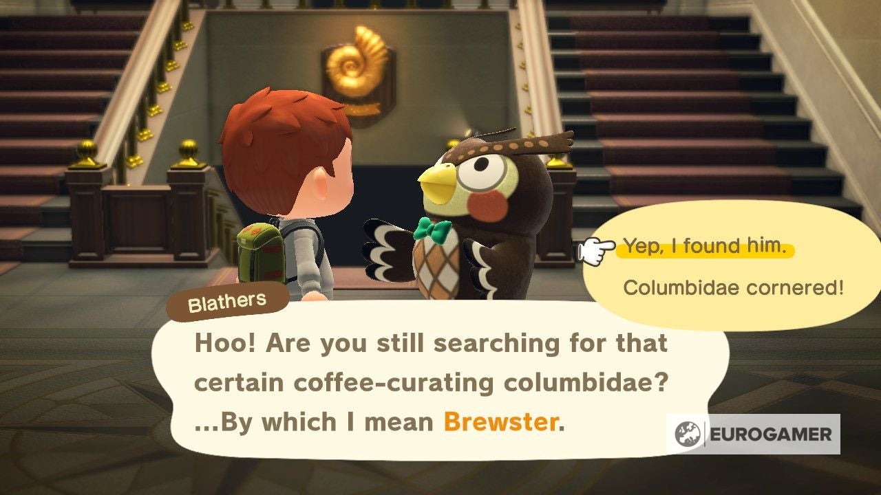 Animal Crossing New Horizons Kofi Finden Animal Crossing New Horizons: Kofi finden | Eurogamer.de